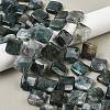 Natural Moss Agate Beads Strands G-L239-16-1