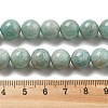 Natural Amazonite Beads Strands G-L618-A01-10mm-5