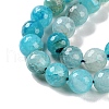 Natural Agate Beads Strands G-M437-C01-01N-4