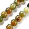 Natural Multi-Color Agate Beads Strands G-A261-B14-14mm-2