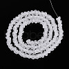 Frosted Transparent Glass Beads Strands GLAA-N016-4mm-11-2