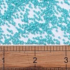 MIYUKI Delica Beads SEED-X0054-DB0658-4