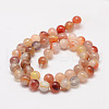 Natural Sardonyx Beads Strands X-G-K155-D-8mm-01-2