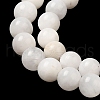 Nature Rainbow Moonstone Round Bead Strands G-M263-A-02AB-4