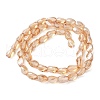Electroplate Glass Beads Strands EGLA-L045-C-PL04-3