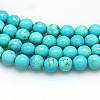 Natural Magnesite Beads Strands TURQ-G103-6mm-01-1