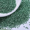 MIYUKI Delica Beads SEED-X0054-DB0426-1