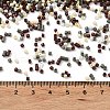 Baking Paint Glass Seed Beads X-SEED-S042-05B-55-4