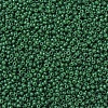 MIYUKI Round Rocailles Beads X-SEED-G007-RR2048-3
