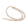Dyed Natural Freshwater Shell Beads Strands X1-BSHE-G039-07N-2