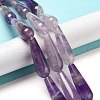 Natural Amethyst Beads Strands G-P528-H15-01-2