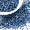 MIYUKI Round Rocailles Beads X-SEED-G007-RR1025-1