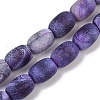 Natural Weathered Agate Beads Strands G-NH0047-B04-02-2