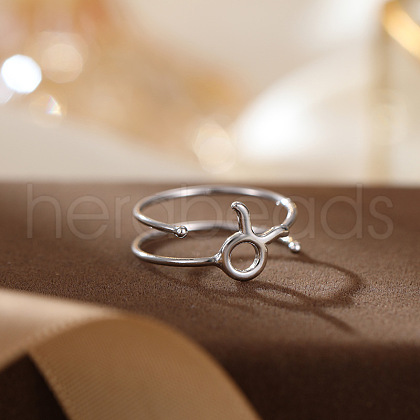 Twelve Constellations 925 Sterling Silver Finger Rings FS-WGD38E8-03-1