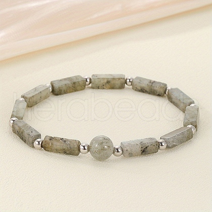 Natural Labradorite Beaded Stretch Bracelets for Men Women WGE4A78-05-1