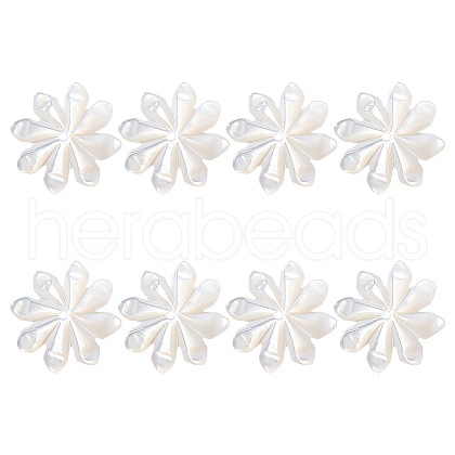 GOMAKERER 8Pcs Natural Shell Beads FIND-GO0003-28-1