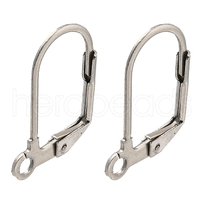 Non-Tarnish 304 Stainless Steel Leverback Earring Findings STAS-P360-02B-P-1