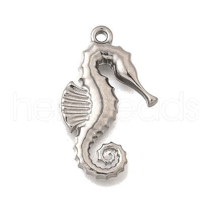 Ocean Series 304 Stainless Steel Charms STAS-H477-01I-P-1