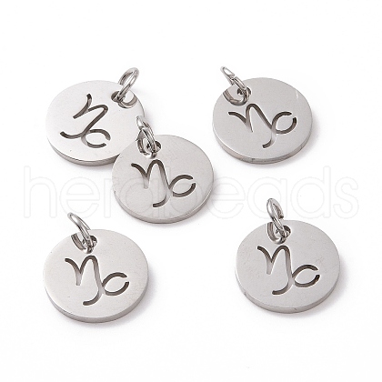 Non-Tarnish 304 Stainless Steel Charms STAS-Q201-T445-10S-1
