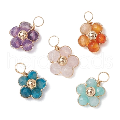 Natural Amazonite & Apatite & Rose Quartz & Amethyst & Red Agate Faceted Round Beaded Pendants PALLOY-JF03606-01-1
