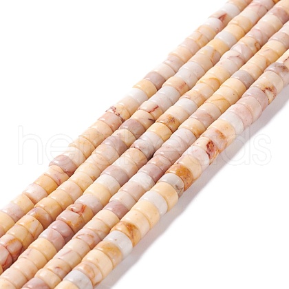 Natural Howlite Beads Strands G-I318-05-1