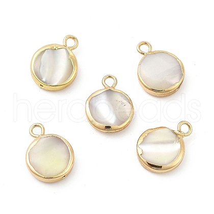 Natural Trochus Shell Charms PEAR-P004-47KCG-1