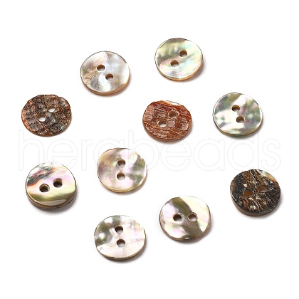 Abalone Shell/Paua Shell BSHE-I011-04D-1
