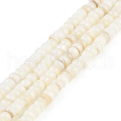 Natural Freshwater Shell  Beads Strands BSHE-H109-07-1