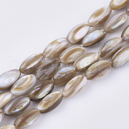 Freshwater Shell Beads Strands X-SHEL-S276-34A-1
