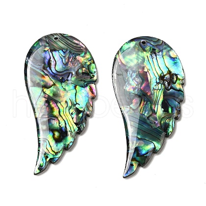 Natural Abalone Shell/Paua Shell Big Pendants X-SHEL-K006-14-1