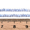 Dyed Natural Trochid Shell/Trochus Shell Beads Strands SSHEL-T017-13A-4