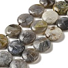 Natural Bamboo Leaf Agate Beads Strands G-NH0014-C01-01-1