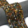 Natural Ocean Jasper Beads Strands G-A260-A30-01-1
