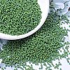 MIYUKI Round Rocailles Beads SEED-G007-RR0480-1