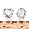 Alloy Glass European Beads FIND-N009-13P-3