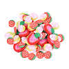 Handmade Polymer Clay Cabochons CLAY-N013-04-2