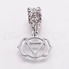 Alloy European Dangle Charms PALLOY-E436-B06-P-1