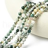 Natural Tree Agate Beads Strands G-K194-6mm-02-3