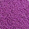 Baking Paint Glass Seed Beads SEED-US0003-2mm-K21-3