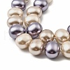 Shell Pearl Beads Strands BSHE-XCP0001-28-3