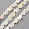 Natural Freshwater Shell Beads Strands SHEL-S276-88-1