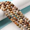Natural Crazy Lace Agate Round Bead Strands G-M272-03-6mm-3
