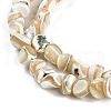 Natural Trochus Shell Beads Strands BSHE-H109-10-4