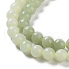 Natural Nephrite Jade/Hetian Jade Beads Strands G-NH0005-030B-4