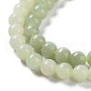 Natural Nephrite Jade Beads Strands G-NH0005-030B-4