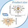 2Pcs Alloy Crystal Rhinestone Shoe Buckle Clips FIND-FG0003-18-2