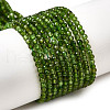 Natural Green Diopside Beads Strands G-NH0046-A01-01-2