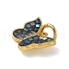 Brass Micro Pave Cubic Zirconia Charms KK-U046-16G-01-2