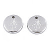 Non-Tarnish 316 Surgical Stainless Steel Charms STAS-S116-418K-P-2