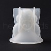 DIY 3D Girl Display Decoration Silicone Statue Molds DIY-G058-B02-3